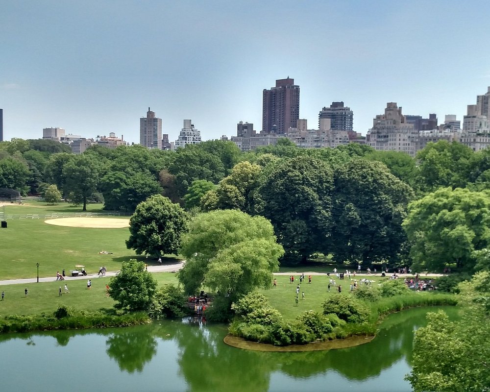 THE 15 BEST Things to Do in NYC 2024 (with Photos) Tripadvisor