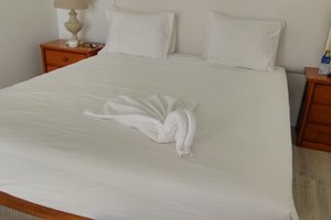 Viajante