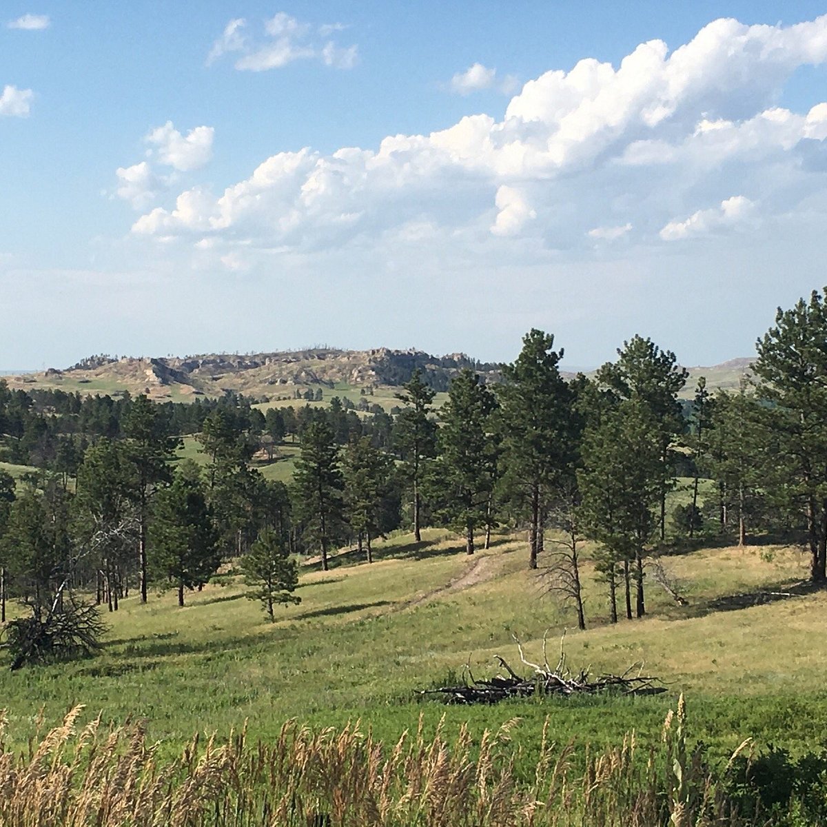 CHADRON STATE PARK All You Need to Know BEFORE You Go