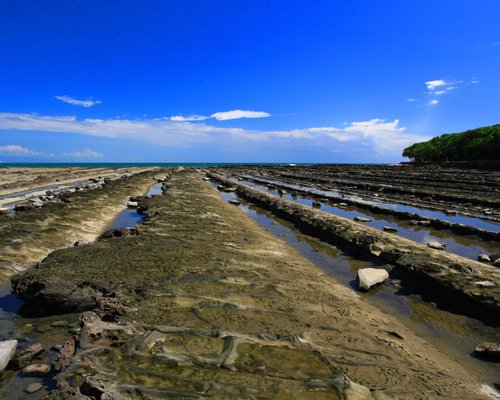 One of the best resort areas in Kyushu Miyazaki Aoshima Area Fun Guide