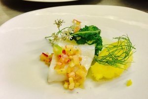Cibo