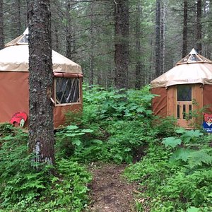 New Nauti Otter Yurt Village