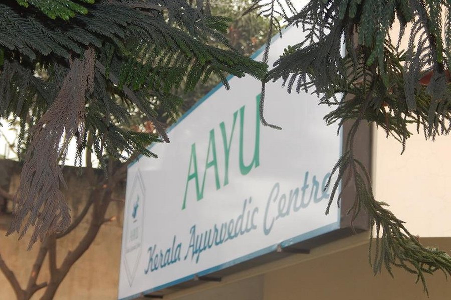 Aayu Kerala Ayurvedic Centre image