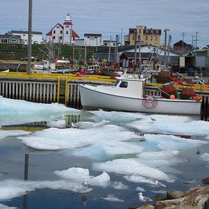 Boavista Harbour - fishermen were stuck as ice blocked the harbour