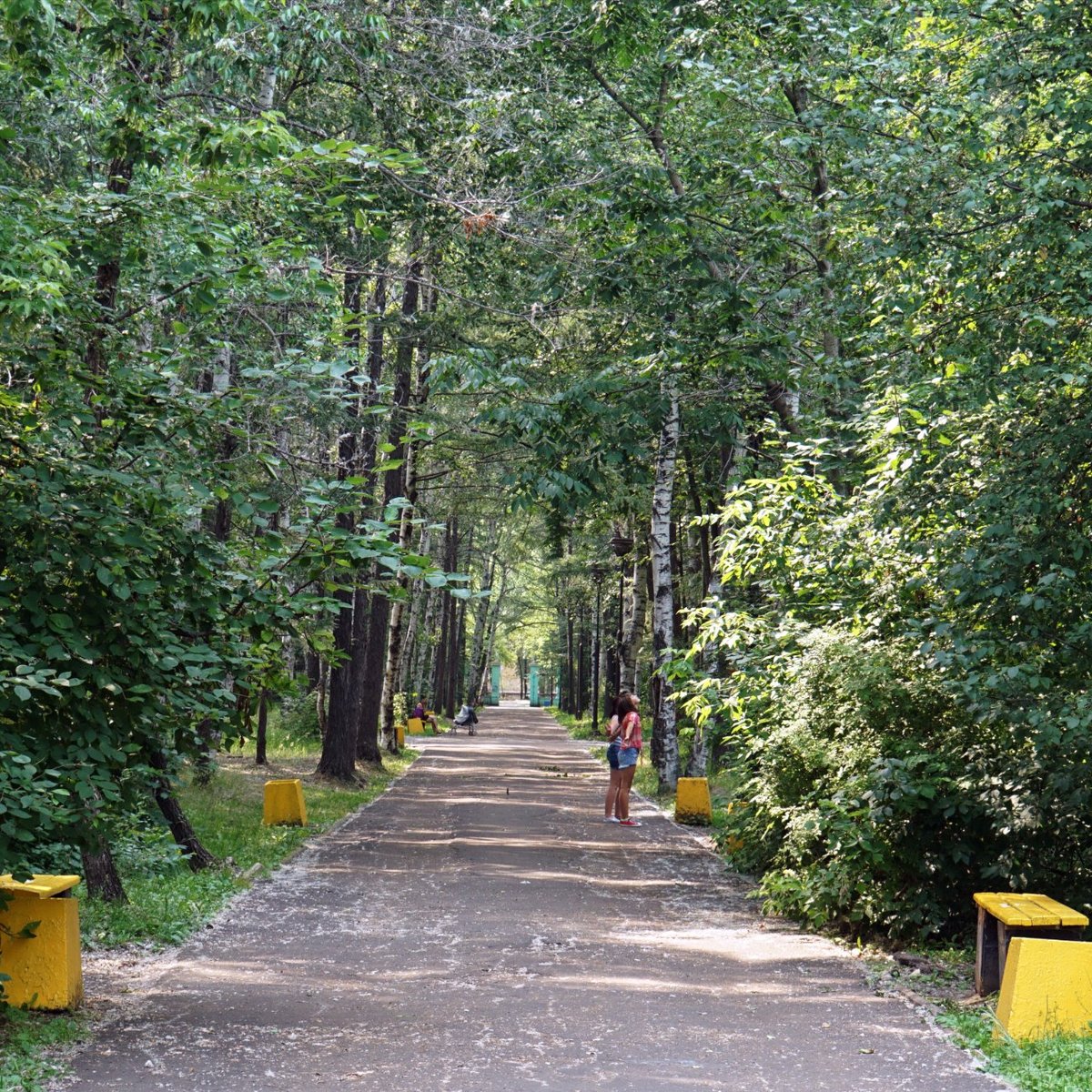 парк гагарина хабаровск