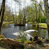 Weilerbach, Entenweiher im Naherholungsgebiet Busenwiesen