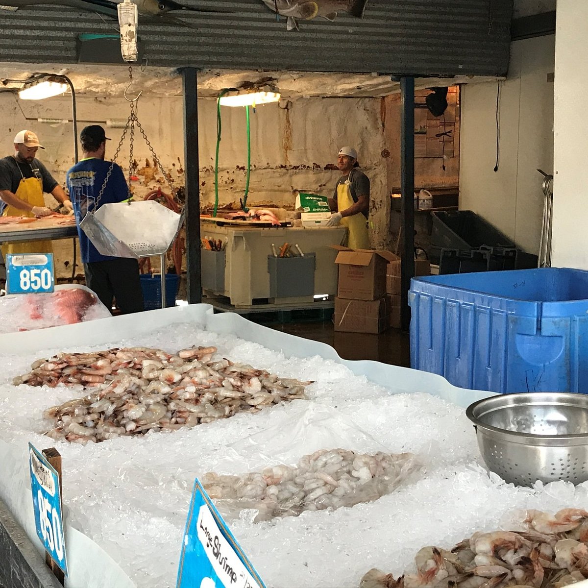 Katie's Seafood Market - All You Need to Know BEFORE You Go (2024)