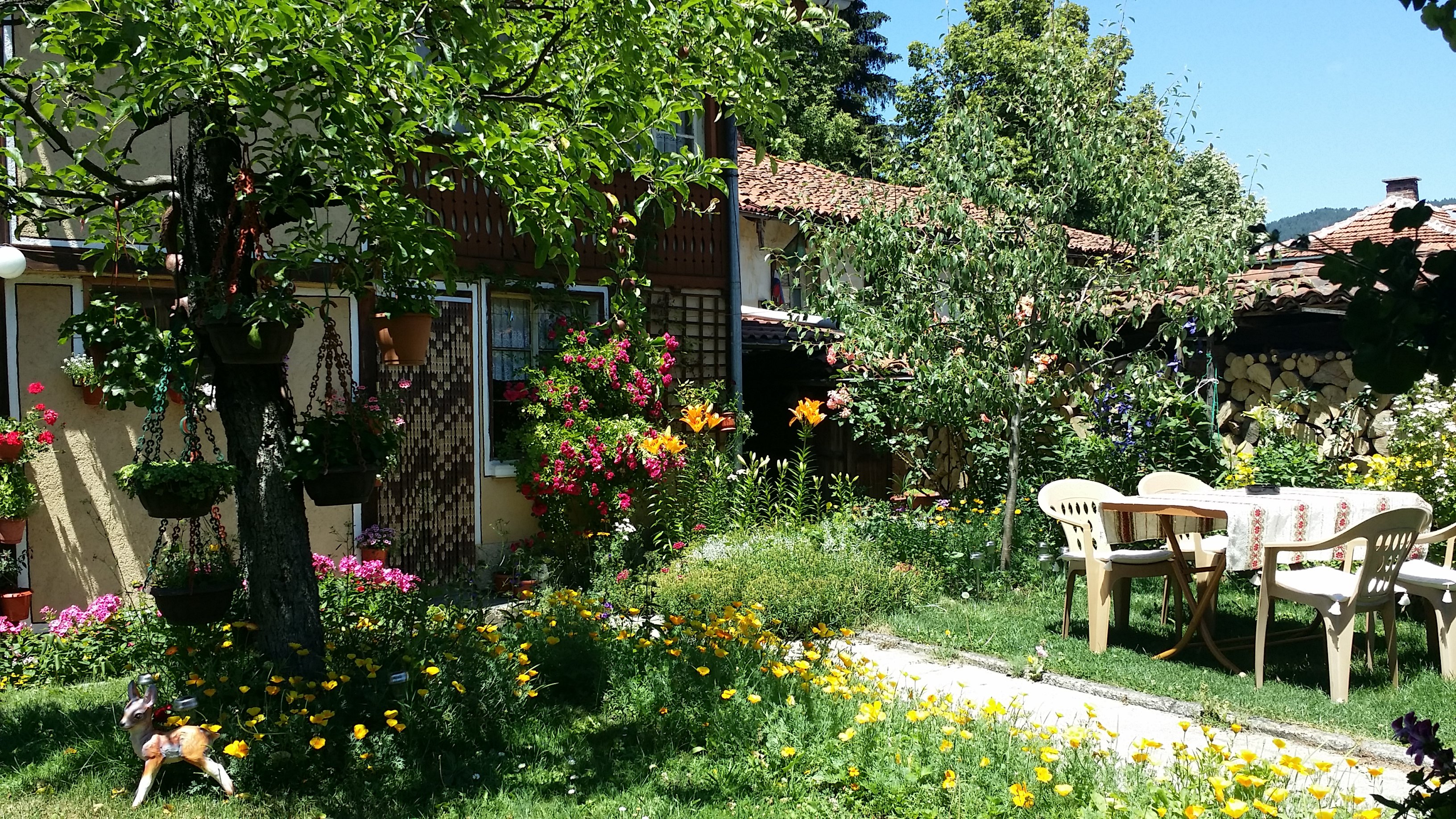 Hotel photo 12 of Guest House Bashtina Striaha.