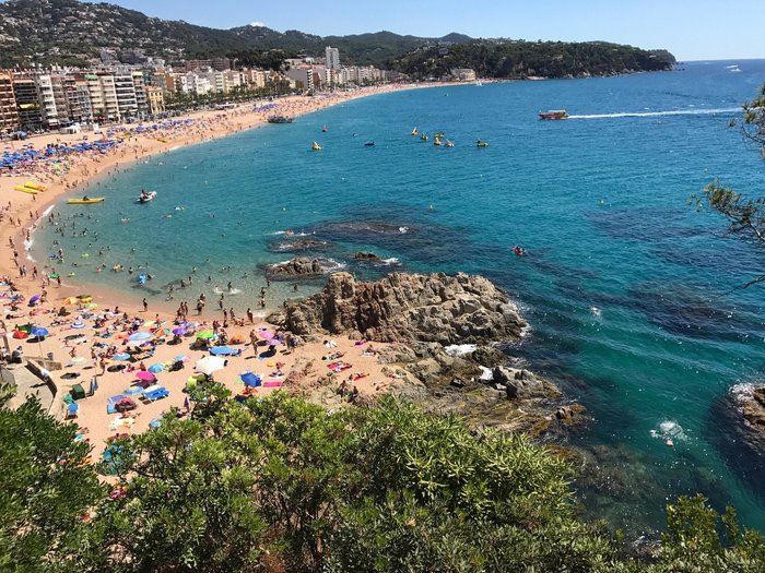 Imagen 1 de Playa de Lloret