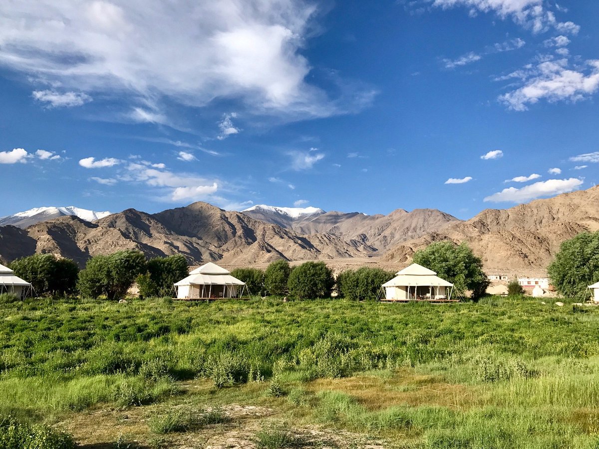 15+ Top Places For Camping In Ladakh To Stay At In 2024