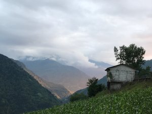Oda ve Süit