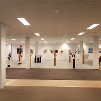 Collectie kunst in de galerie