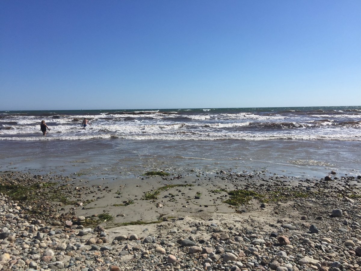 Escape to Horseneck Beach: Where Coastal Bliss Meets Family Fun