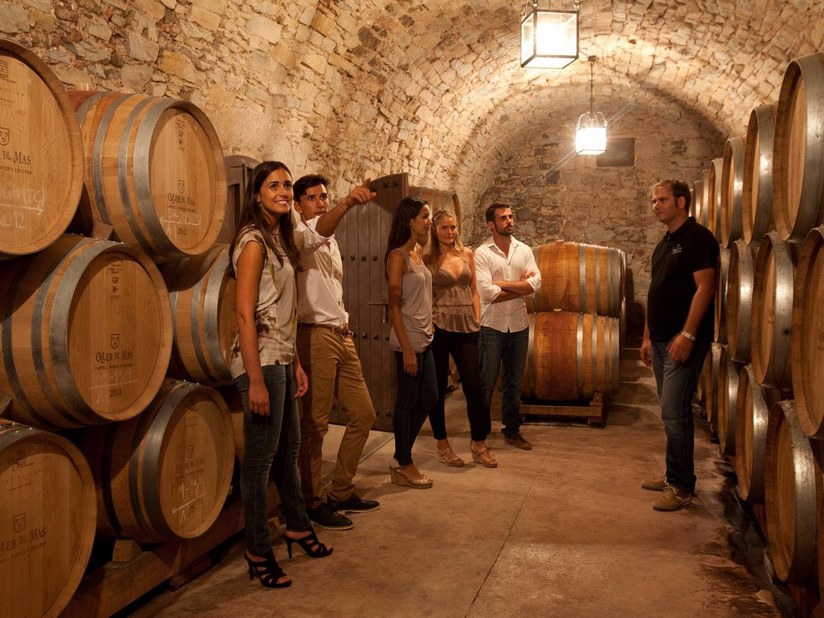 castle experience wine tours