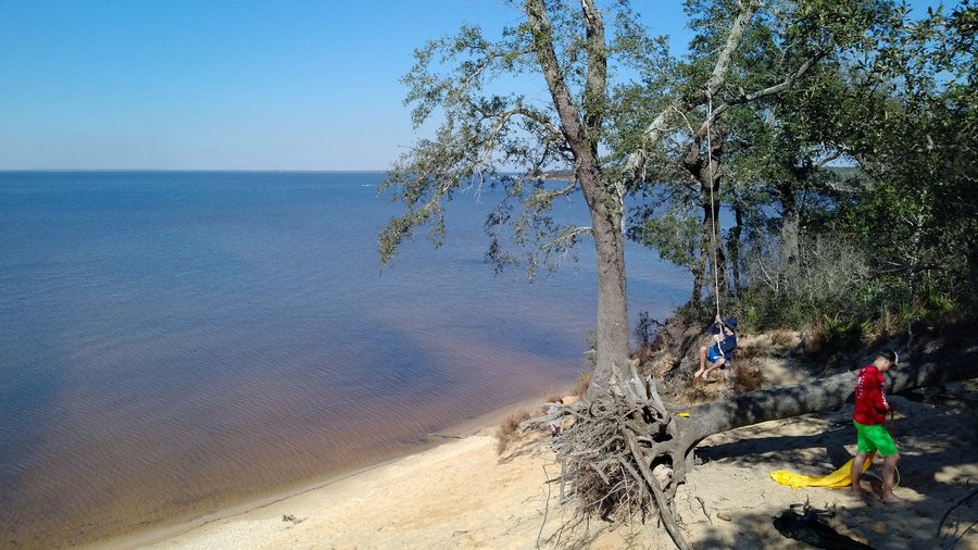 Gulf Breeze Bluff - access via Jackson Trail at Naval Live Oaks