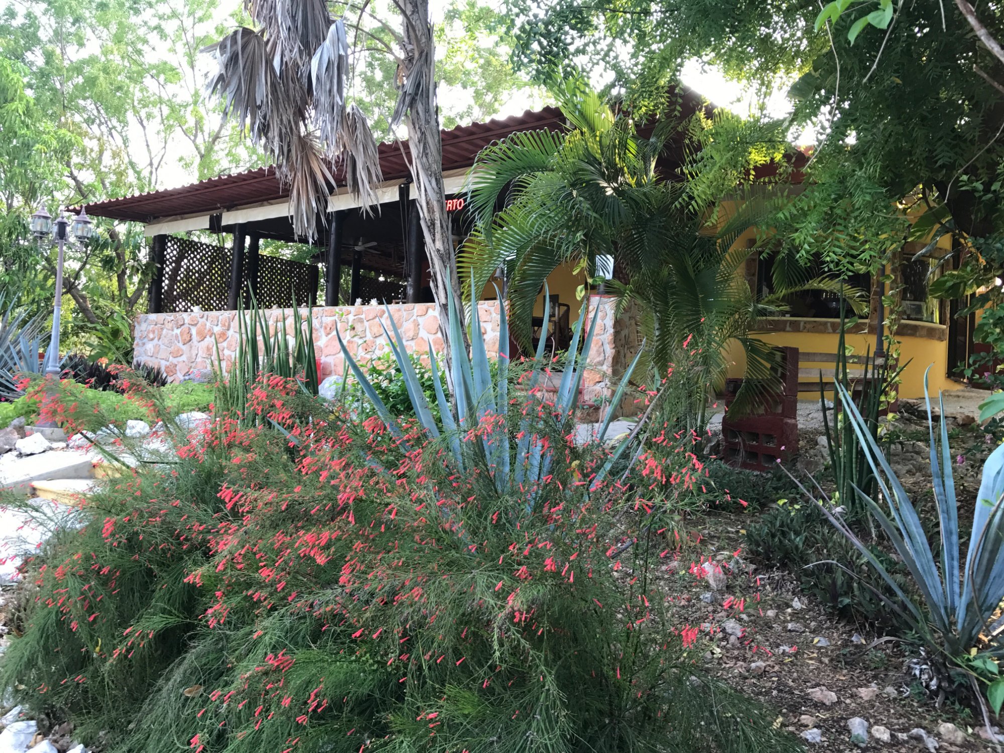 THE PICKLED ONION B&B & RESTAURANT, Uxmal - Restaurant Reviews, Photos ...