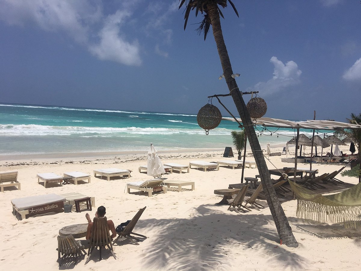 CASA VIOLETA - Updated 2024 Prices & Guest house Reviews (Tulum, Mexico)