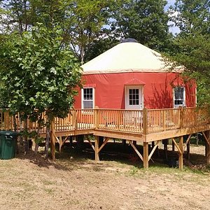 Stay in one of our luxury yurts!
