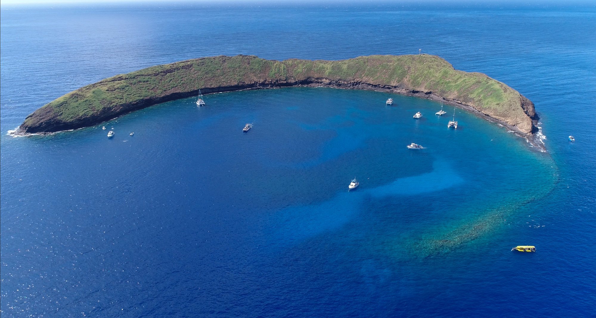 Maui Snorkel Charters - All You Need to Know BEFORE You Go (2024)