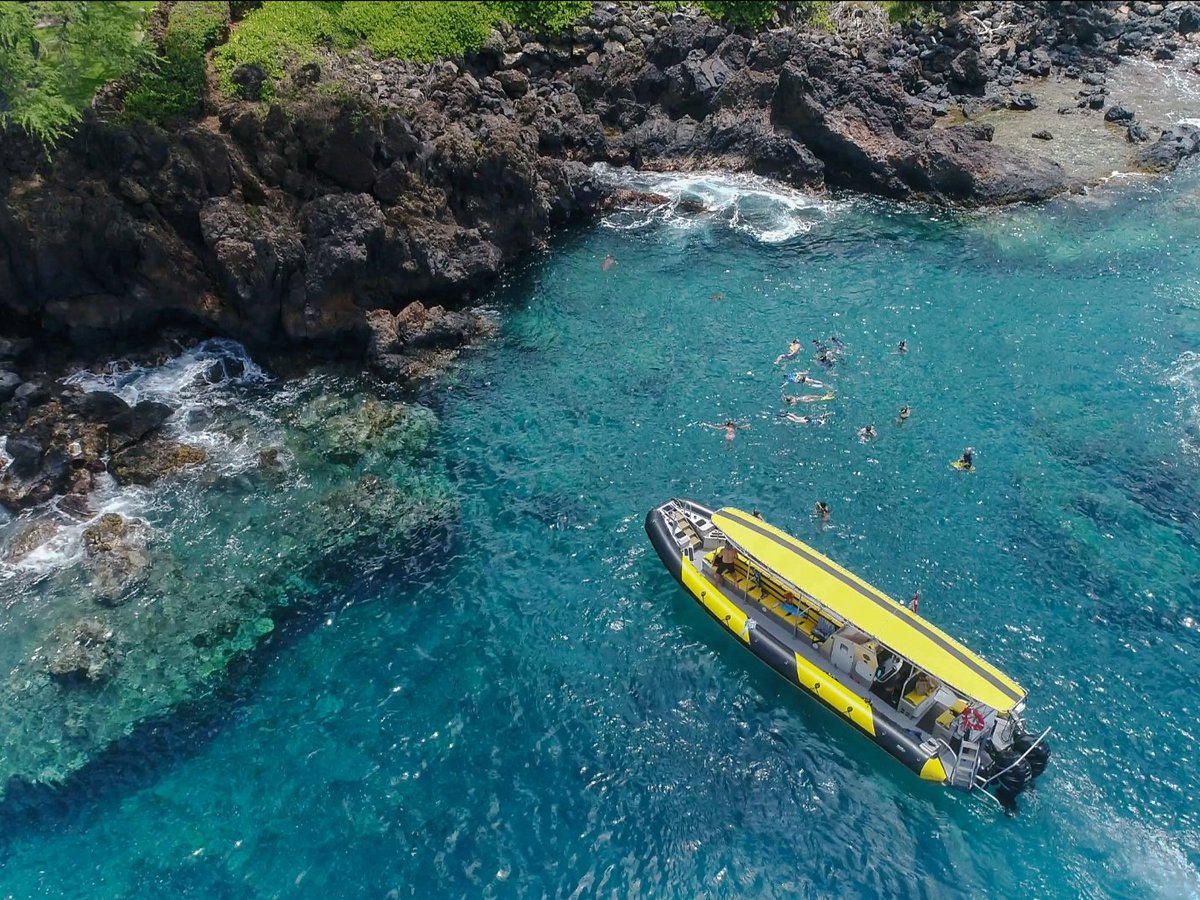 Maui Snorkel Charters Kihei 2022 Lohnt Es Sich Mit Fotos