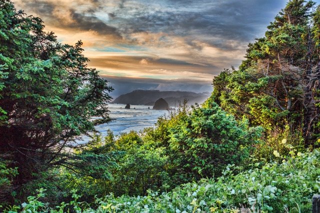 Inn At Cannon Beach UPDATED 2024 Prices Reviews Photos OR   Inn At Cannon Beach 