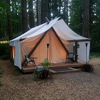 Millersylvania State Park (Olympia) - All You Need to Know BEFORE You Go