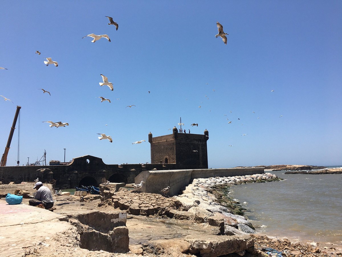 Médina d’Essaouira
Les monuments historiques du Maroc