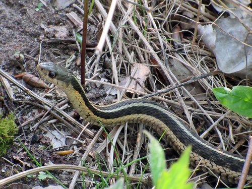 Long Point Provincial Campground - Reviews & Photos