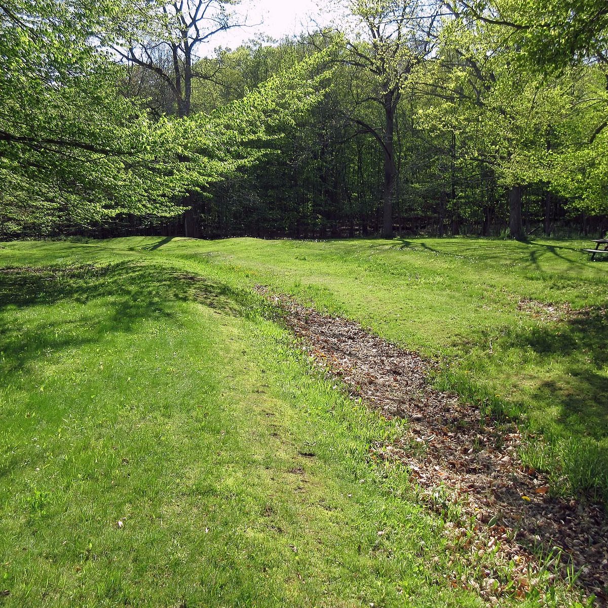 earthworks field trip