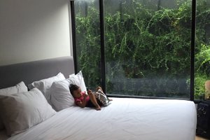Room & Suite
