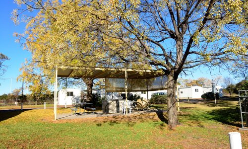 West Wyalong Caravan Park