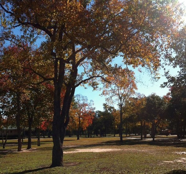 Katy City Park - Alles wat u moet weten VOORDAT je gaat (met foto's ...