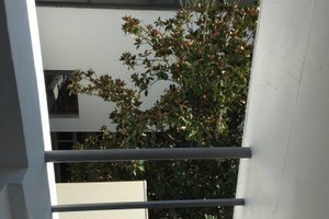 Vista do quarto