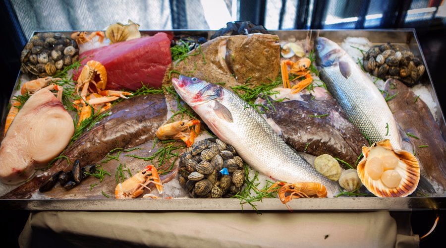 Fisch...