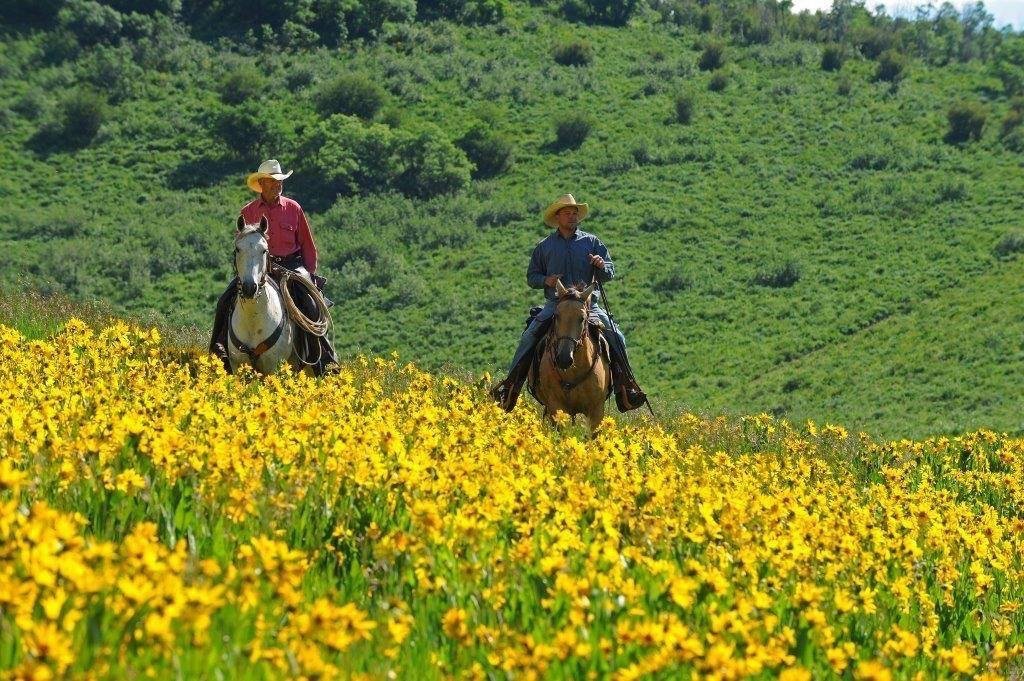 THE 10 BEST Colorado Horseback Riding Tours 2024 Tripadvisor   Ray And Perk Heid Owners 