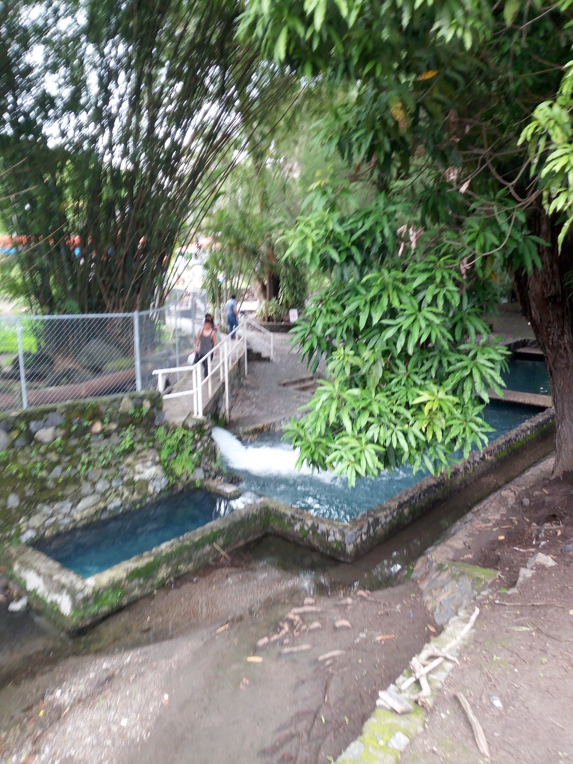 Centro Vacacional Imss Oaxtepec Pool Pictures & Reviews - Tripadvisor