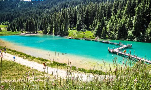 Vue sur le Lac.