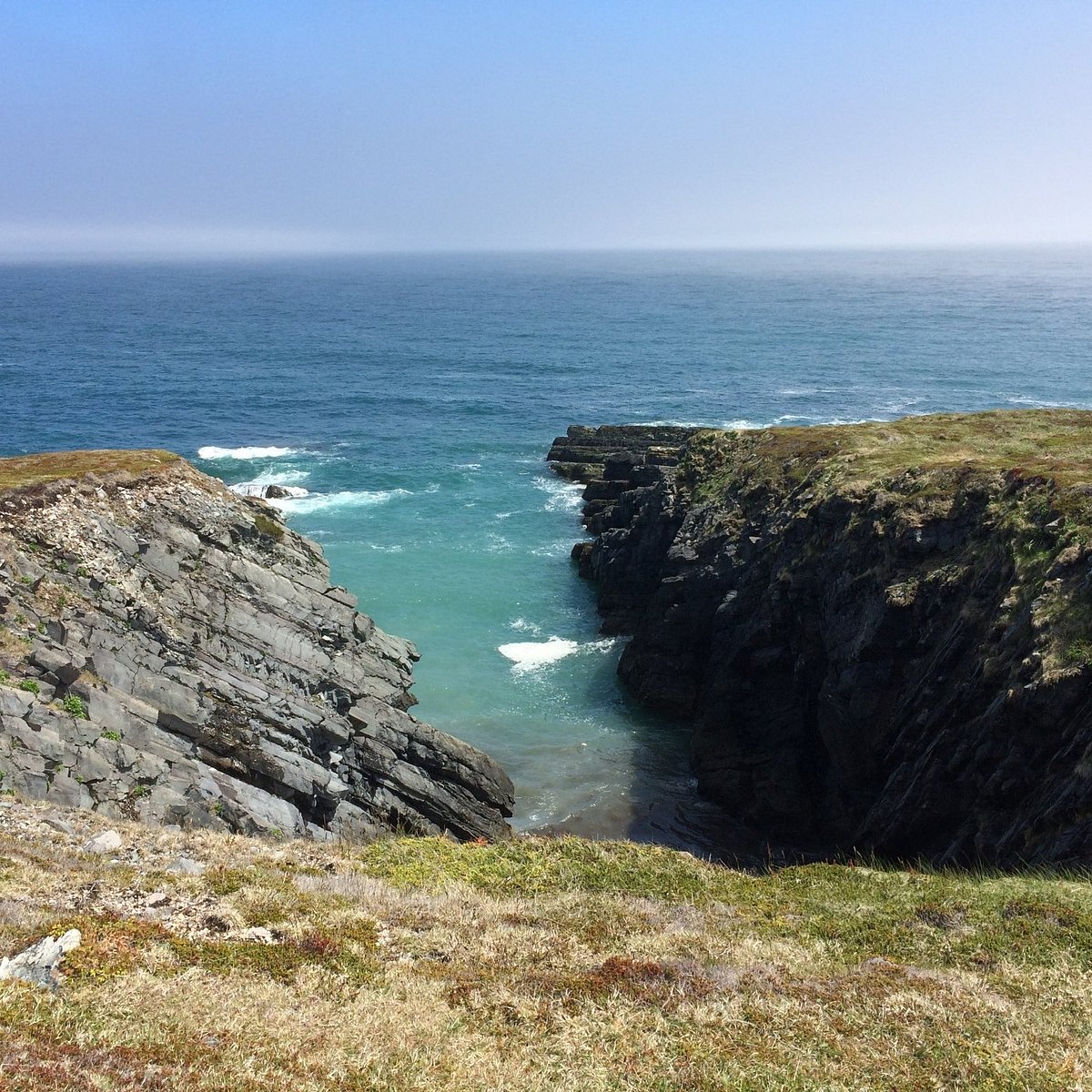 South cove. Мистейкен Пойнт. Mistaken point.