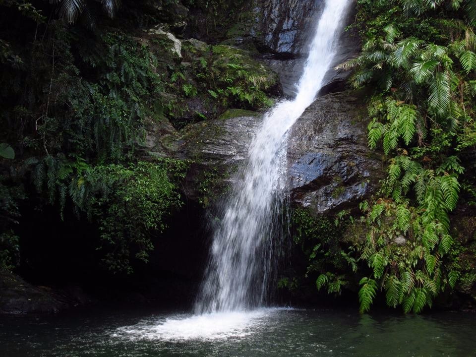 Fukugawa Falls (Nago) - All You Need to Know BEFORE You Go