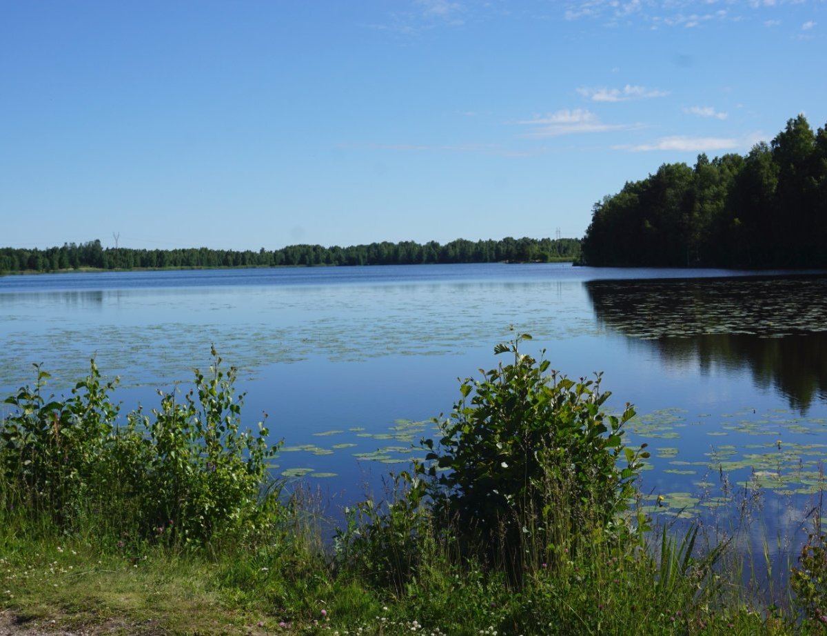 Lake Ayhonjarvi - All You Need to Know BEFORE You Go (2024)