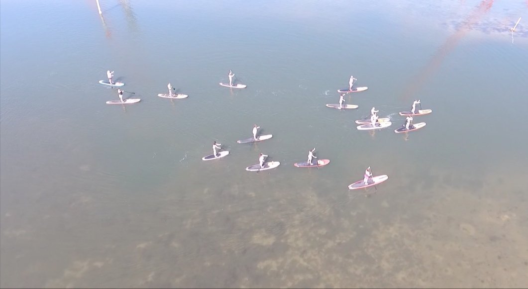 Three Brothers Boards Dolphin and Manatee Paddle Board Tours - All You Need to Know BEFORE You Go (with Photos)