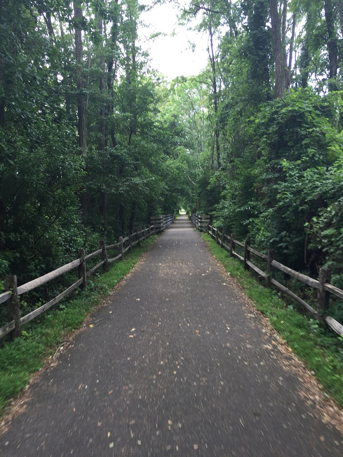 Henry Hudson Trail and Bike Path - Freehold Segment