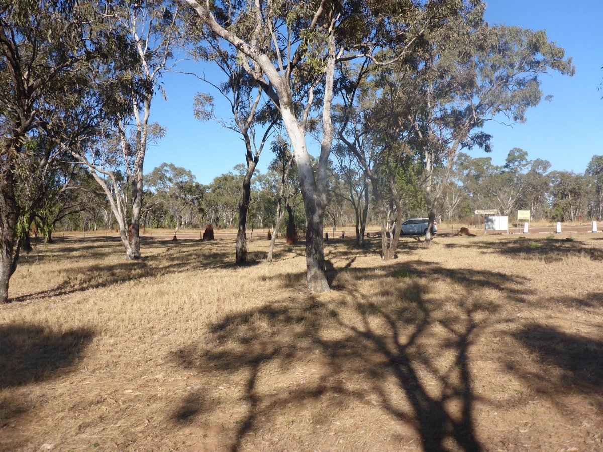 Elsey Cemetery National Reserve (Mataranka) - All You Need to Know ...