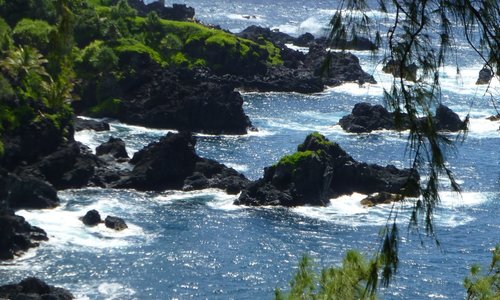 Shoreline view