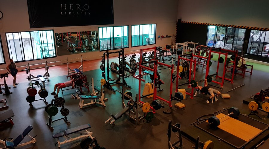 Muscle Factory