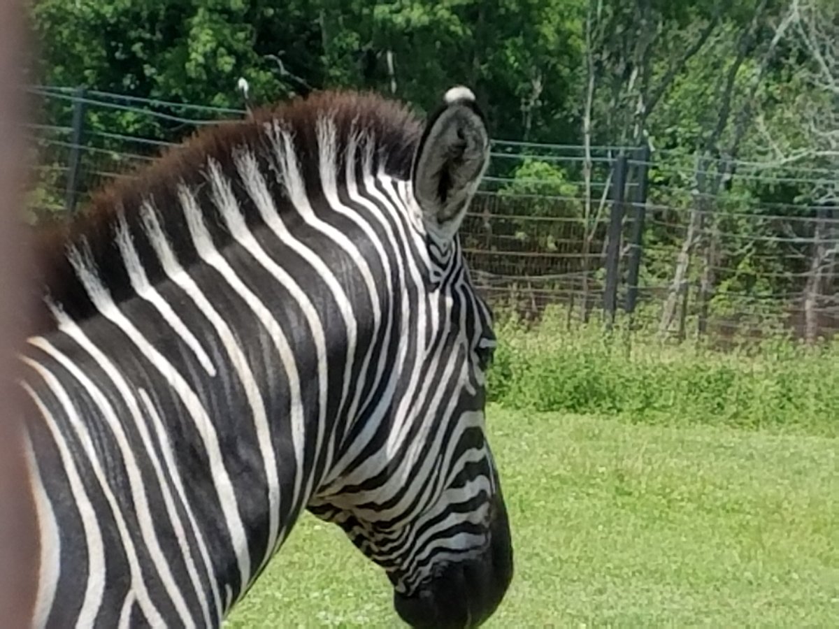 Escape To Goshen Wildlife: Where Nature’s Wonders Unfold