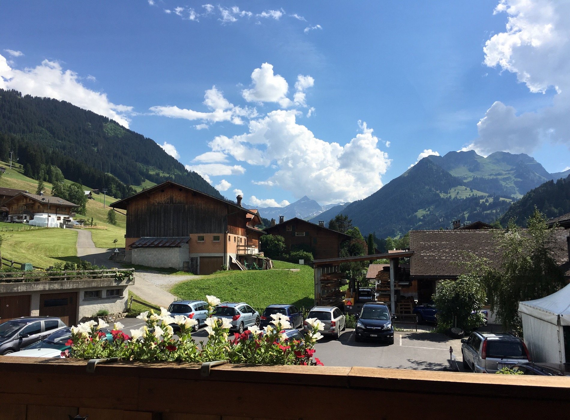 Hotel Alphorn Gstaad GmbH by null