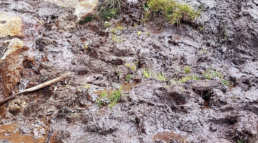 Muddy sections in many parts of the trail