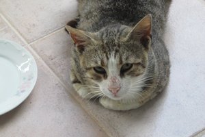 Από ταξιδιώτες