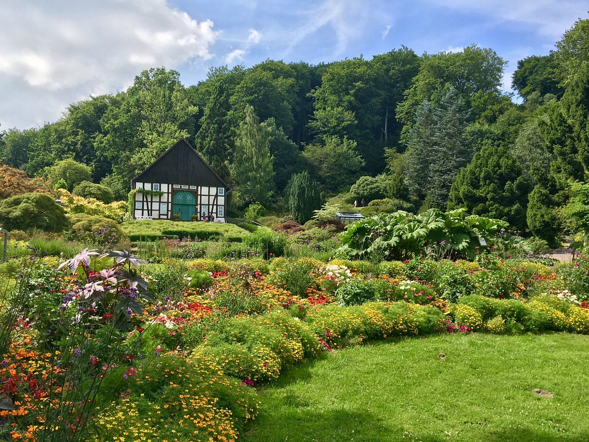 Bielefeld Botanical Garden, Биелефельд: лучшие советы перед посещением -  Tripadvisor